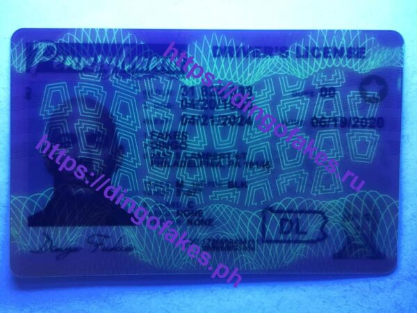 PENNSYLVANIA(PA O21 NEW) - Image 2