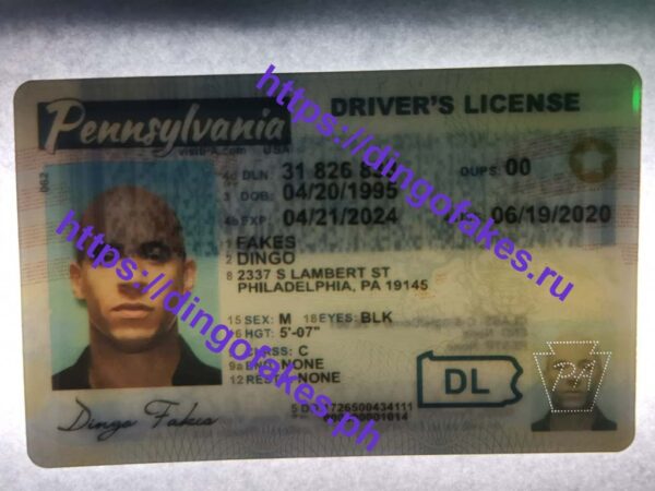 PENNSYLVANIA(PA O21 NEW) - Image 3