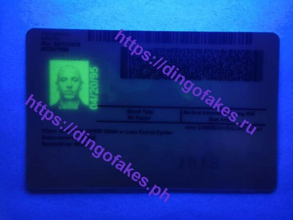 ILLINOIS(IL NEW) - Image 2