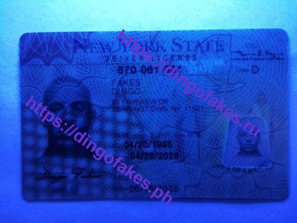 NEW YORK(NY O21) - Image 3