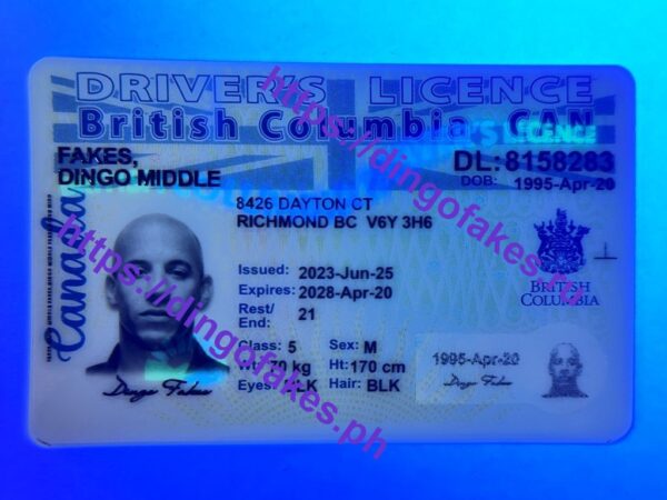 CAN BRITISH COLUMBIA(CAN BC DL 2023 PolyCard) - Image 3
