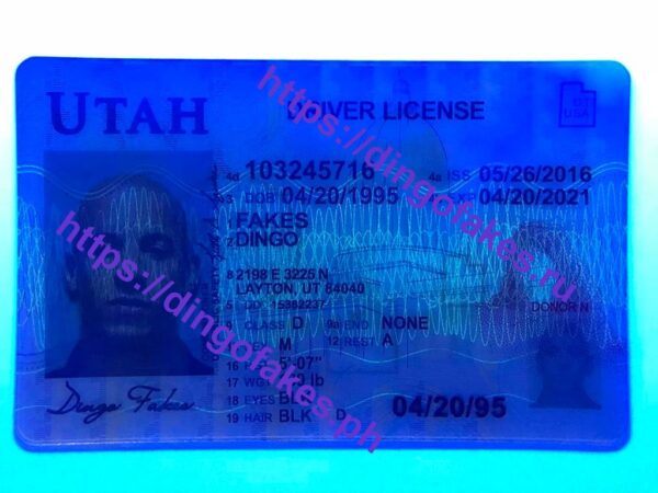 UTAH(UT O21 OLD) - Image 3