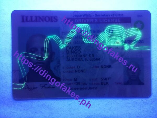 ILLINOIS(IL NEW) - Image 3