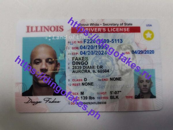 ILLINOIS(IL NEW)
