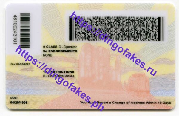ARIZONA(AZ 2023 POLYCARD) - Image 4