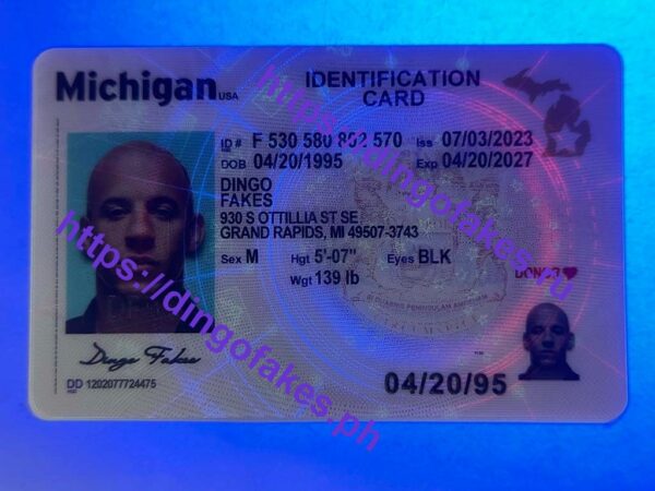 MICHIGAN IDENTIFICATION CARD(MI NEW ID) - Image 3