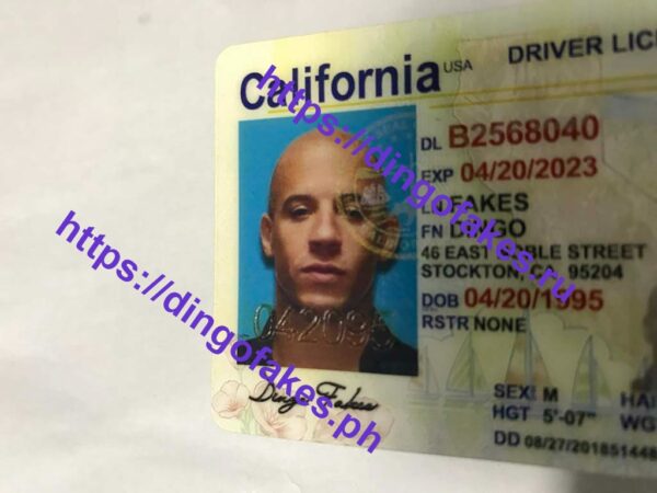 CALIFORNIA(CA O21 NEW) - Image 3