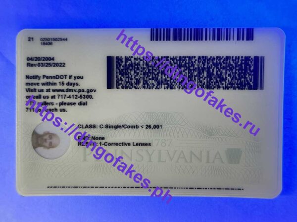PENNSYLVANIA(PA U21 NEW 2022 POLYCARD) - Image 2