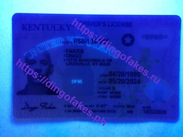 KENTUCKY(KY 2024) - Image 2