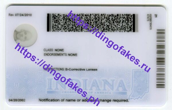INDIANA(IN U21 NEW 2023 POLYCARD) - Image 4