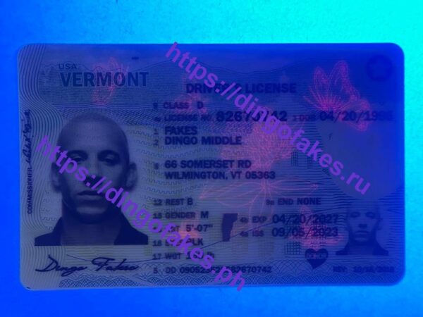 VERMONT( VT 2023 POLYCARD) - Image 3