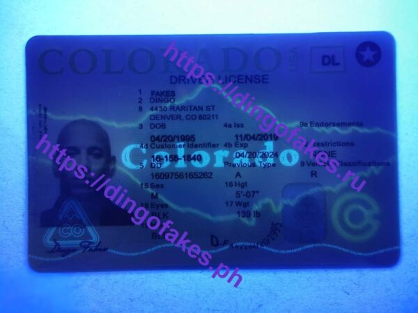COLORADO(CO NEW) - Image 3