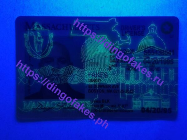 MASSACHUSETTS(MA O21 NEW) - Image 2