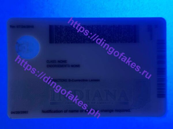 INDIANA(IN U21 NEW 2023 POLYCARD) - Image 2