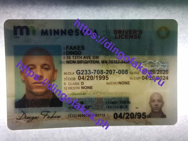MINNESOTA(MN NEW) - Image 4