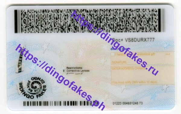 NEW YORK(NY O21 NEW 2022 POLYCARD) - Image 2