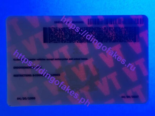 VERMONT( VT 2023 POLYCARD) - Image 2