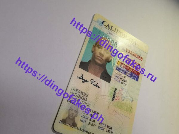 CALIFORNIA(CA U21 OLD) - Image 3