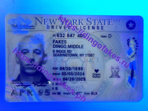NEW YORK(NY O21 NEW 2022 POLYCARD V4) - Image 3