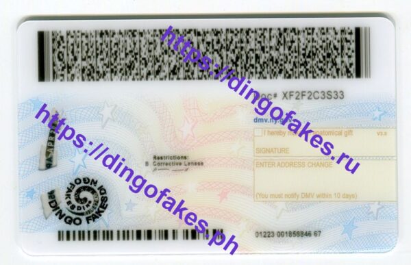 NEW YORK(NY O21 NEW 2022 POLYCARD V4) - Image 4