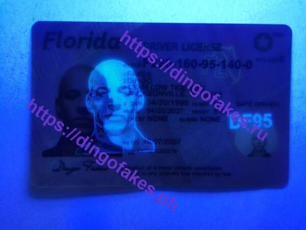 FLORIDA(FL O21 NEW) - Image 2