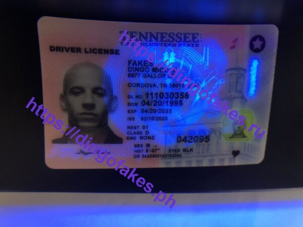 TENNESSEE(TN O21 2025 POLYCARD) - Image 3