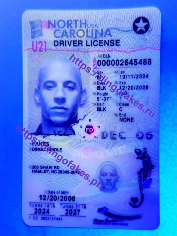NORTH CAROLINA(NC U21 NEW 2024 POLYCARD) - Image 3