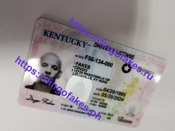 KENTUCKY(KY 2024) - Image 4