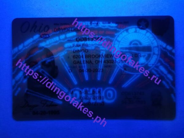 OHIO(OH NEW) - Image 3