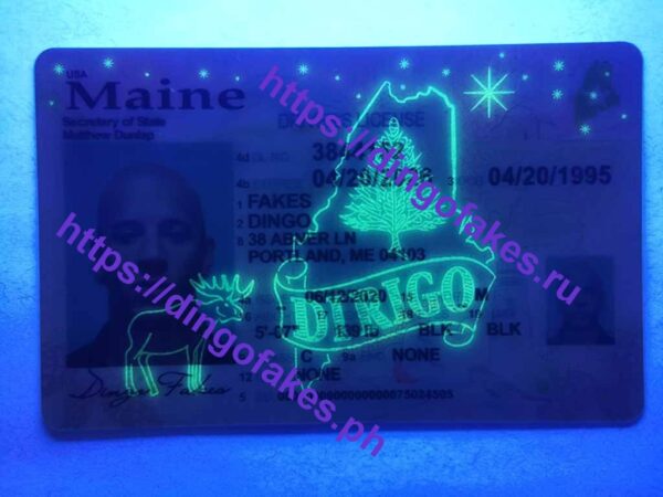 MAINE(ME NEW) - Image 2