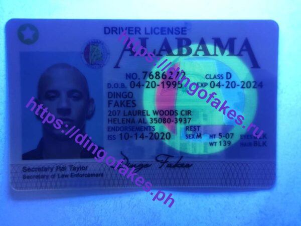 ALABAMA(AL) - Image 2