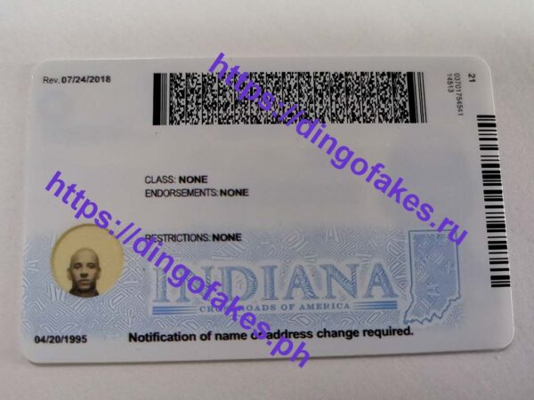 INDIANA(IN NEW) - Image 4