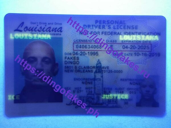LOUISIANA(LA) - Image 2