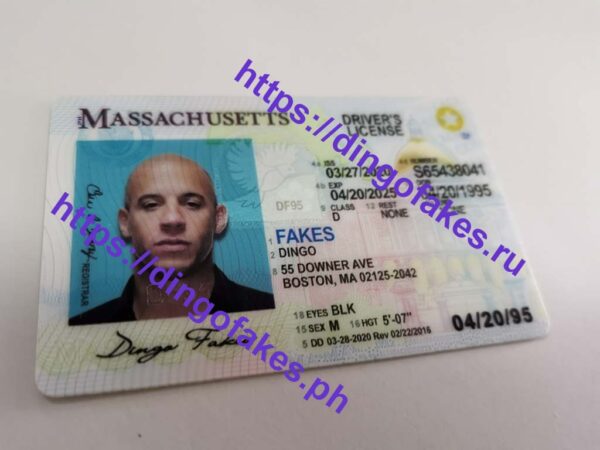 MASSACHUSETTS(MA O21 NEW) - Image 3