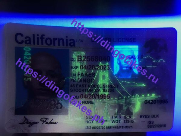CALIFORNIA(CA O21 NEW) - Image 2