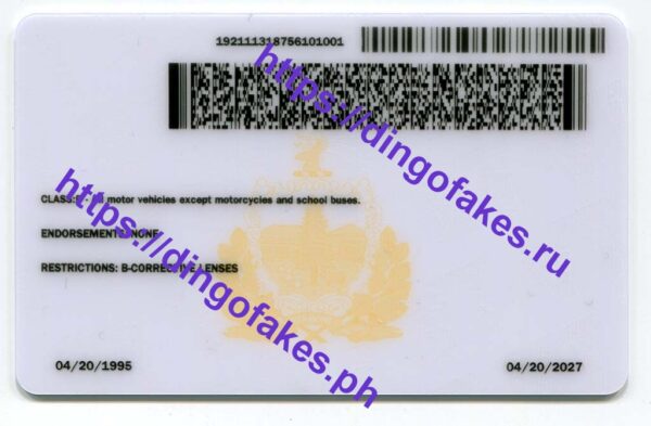 VERMONT( VT 2023 POLYCARD) - Image 4